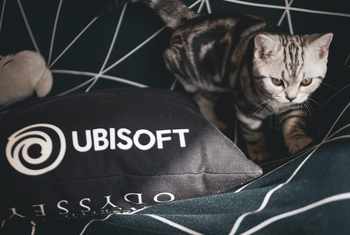 cat-image